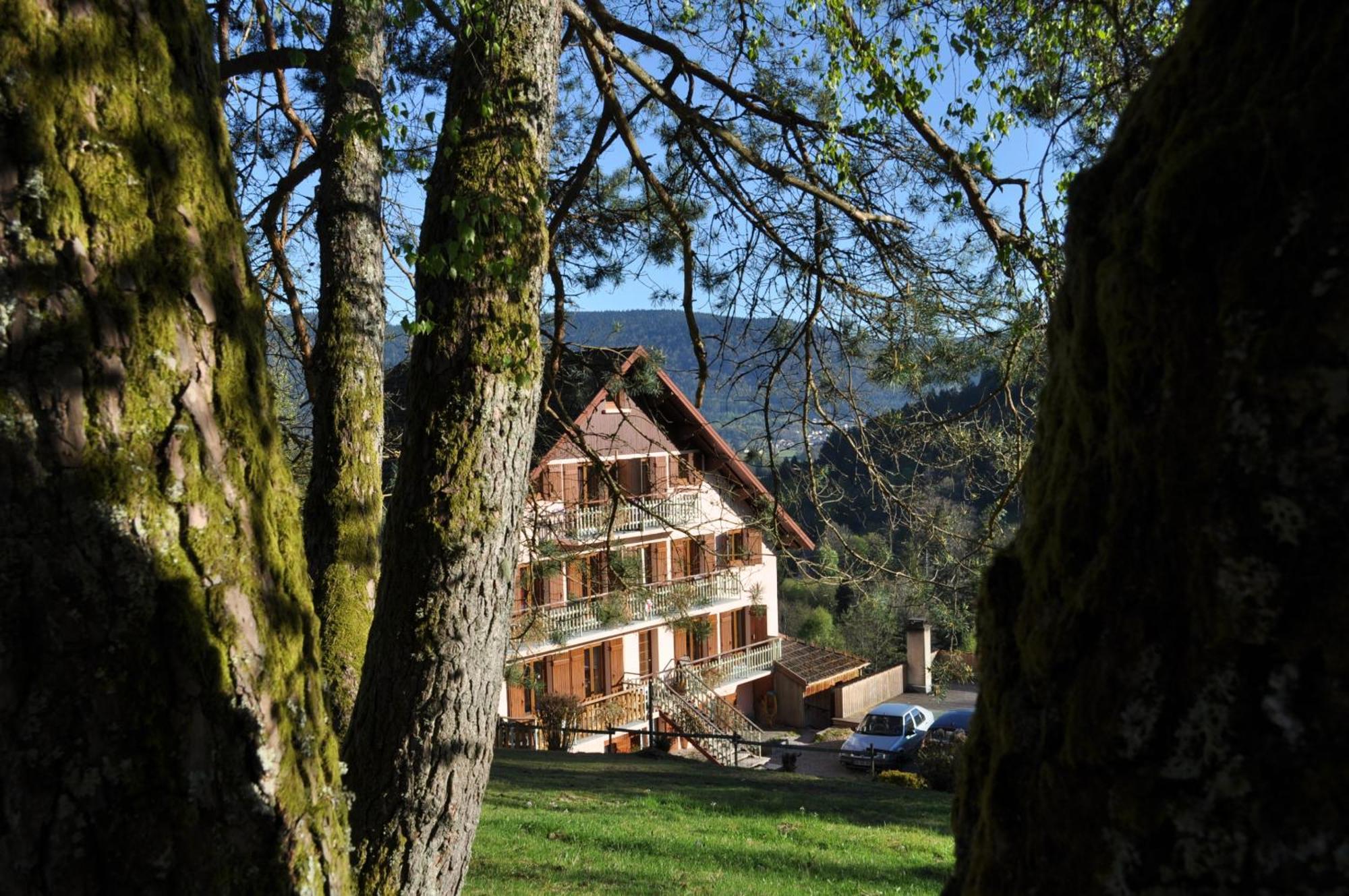 A L'Oree Du Bois Dommartin-lès-Remiremont Екстериор снимка